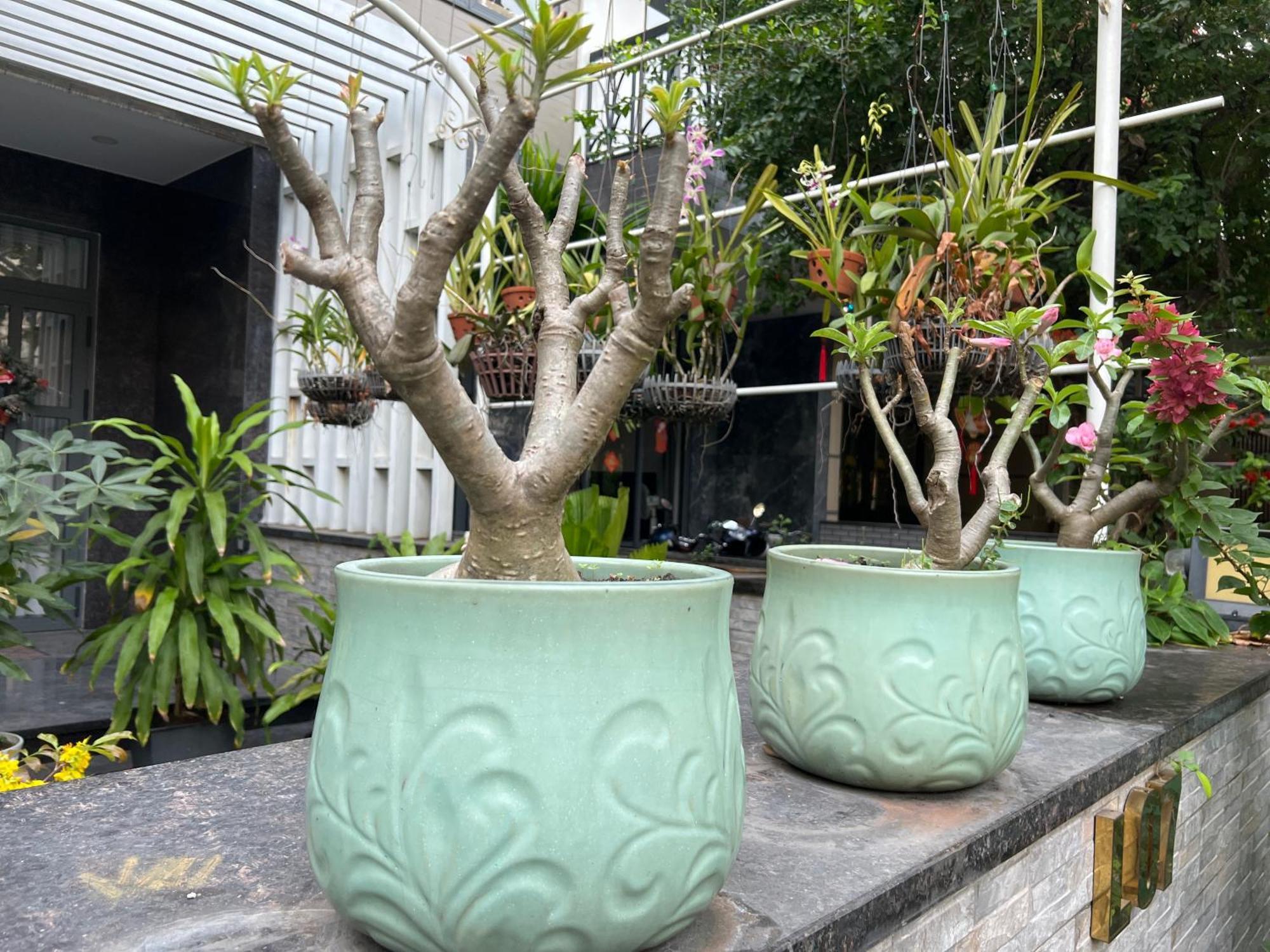 Home Resort With Full Amenities Ho Chi Minh Zewnętrze zdjęcie